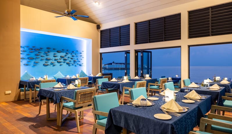 Angsana Velavaru_Azzurro Restaurant_Interior_2